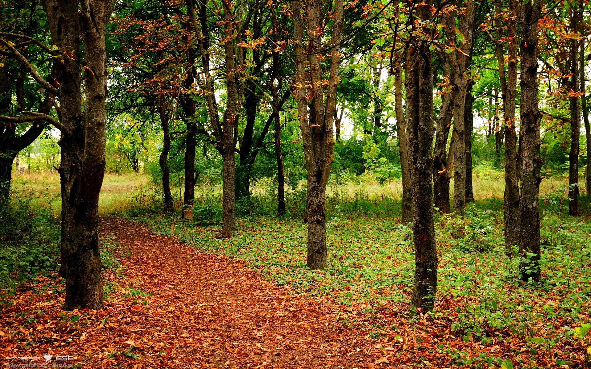 爱游戏电竞全站-_篮网持续领跑，联盟无人能敌_，篮网也忍不住了