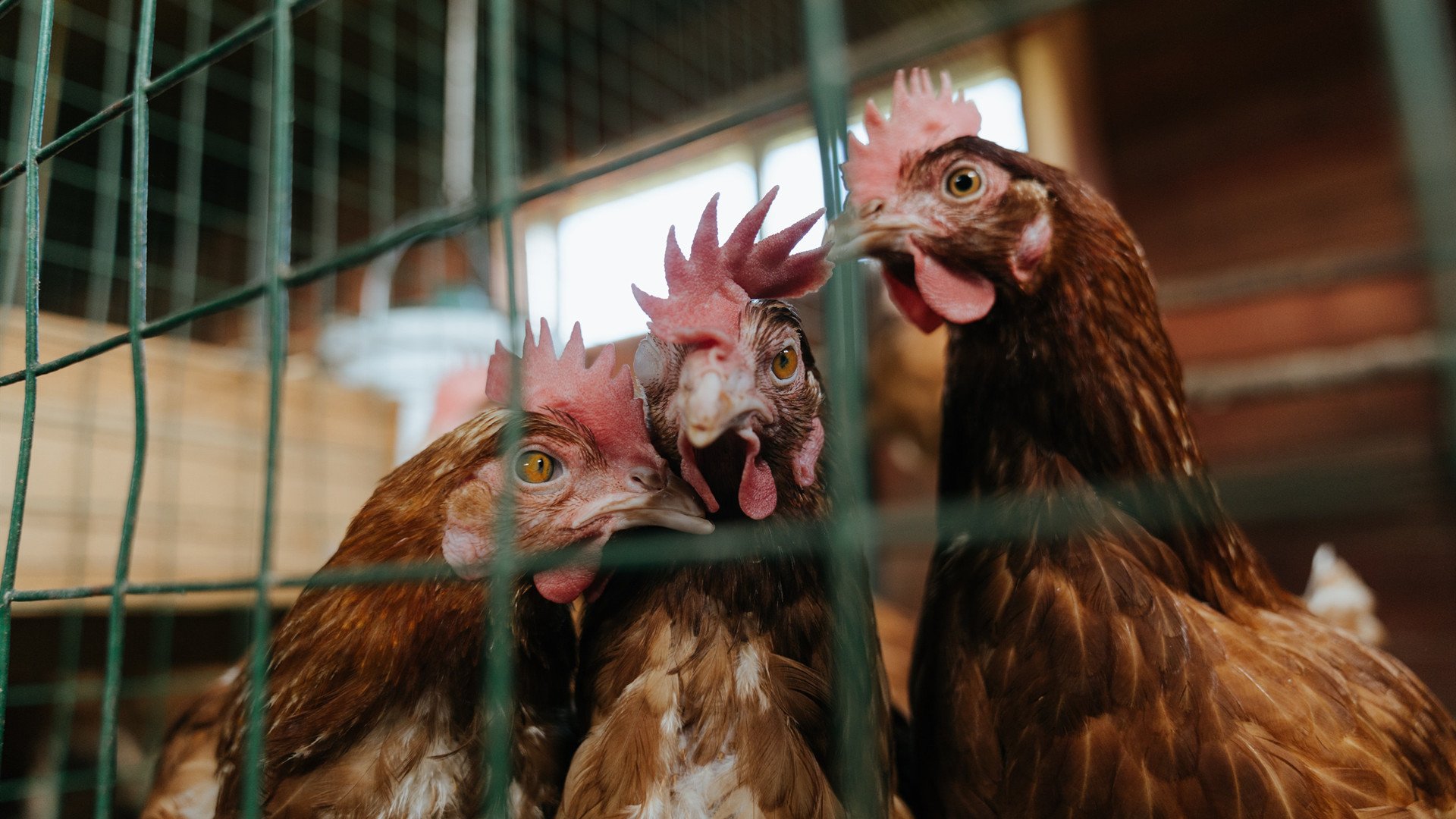 “团队精神:幕后英雄的坚韧守护”,这才是团队精神