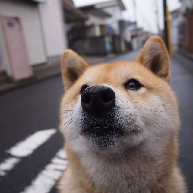 “西甲高潮不断，明星表现引爆全场”，西甲loading