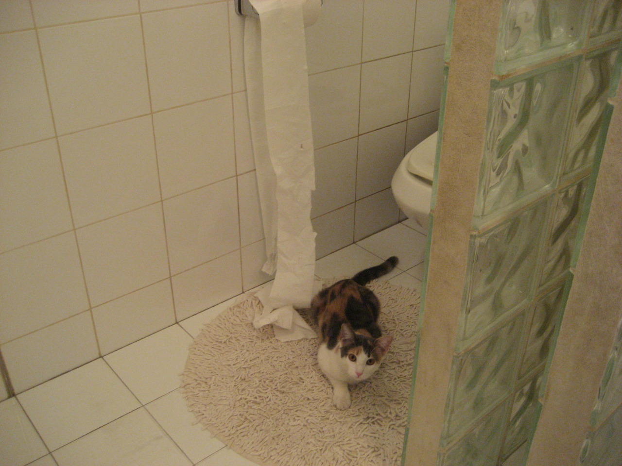 爱游戏全站app注册-中国女足国际排名再创新高，中国女足国际排名第几